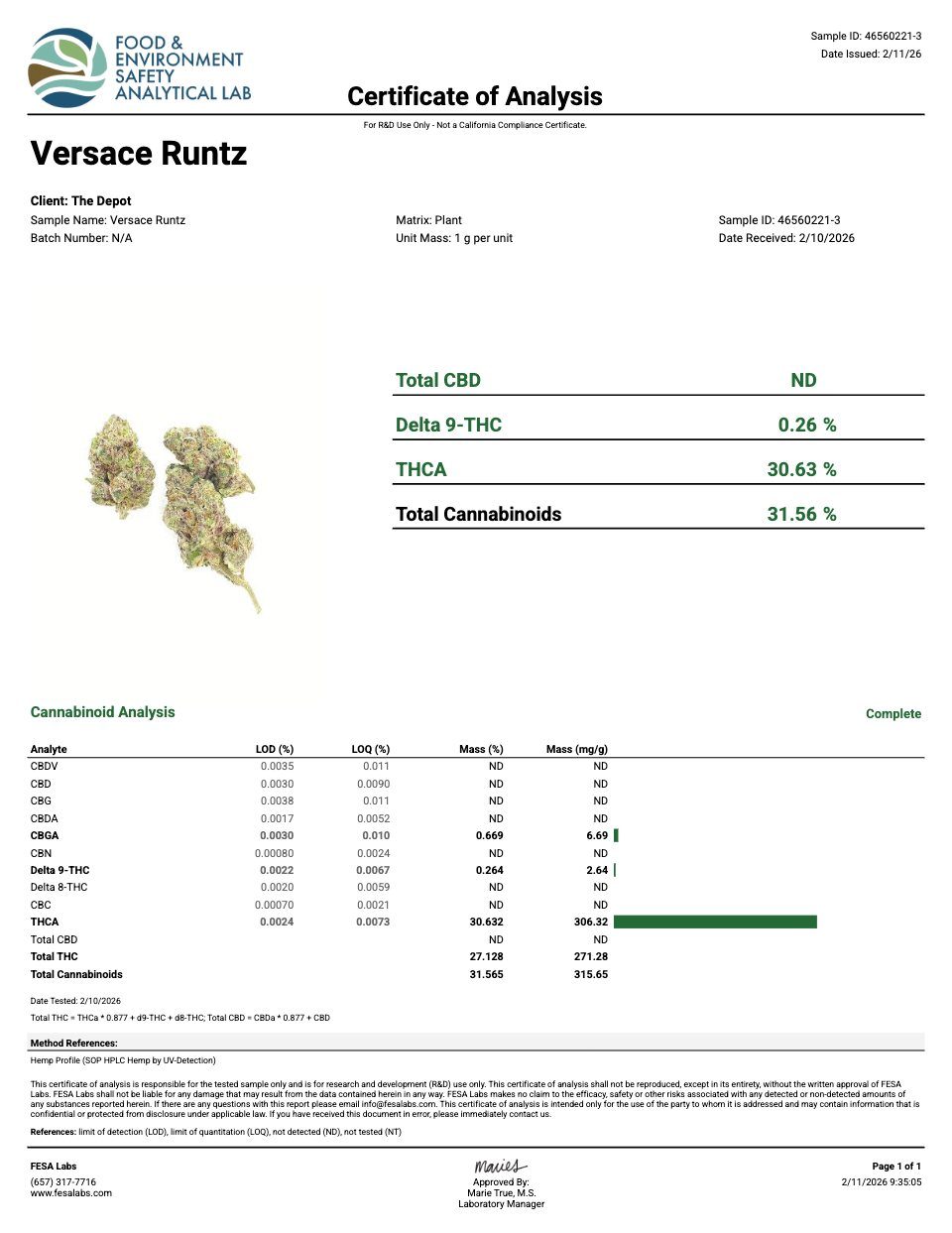 First page of the product lab report
