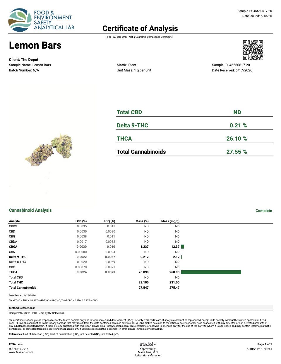 First page of the product lab report