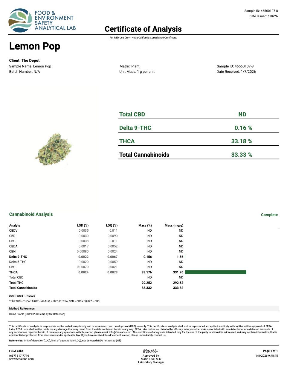 First page of the product lab report
