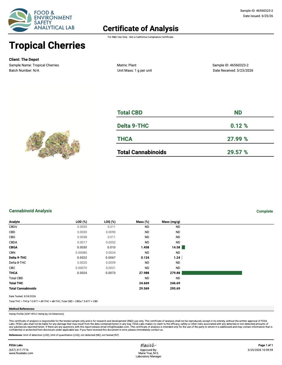 First page of the product lab report