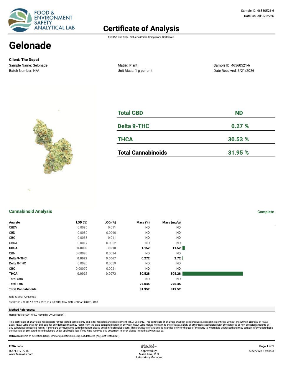First page of the product lab report