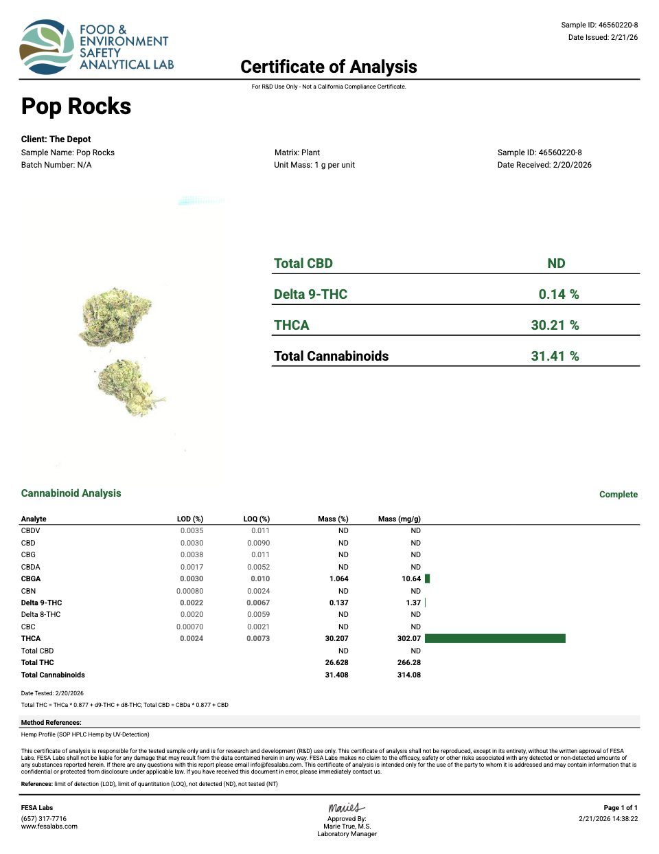 First page of the product lab report