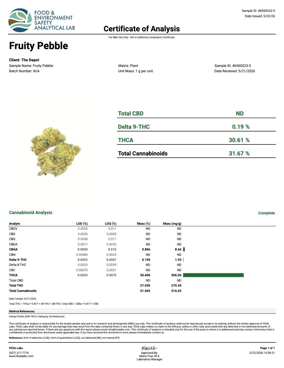 First page of the product lab report