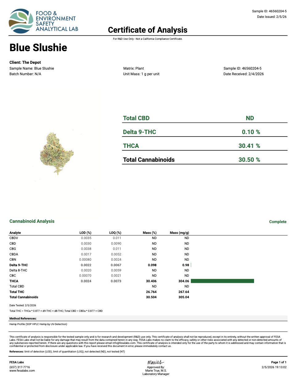 First page of the product lab report