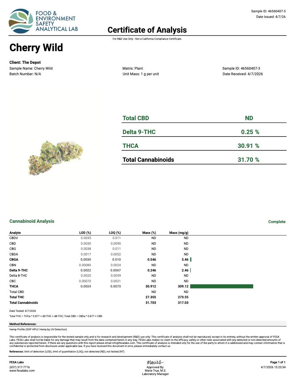 First page of the product lab report