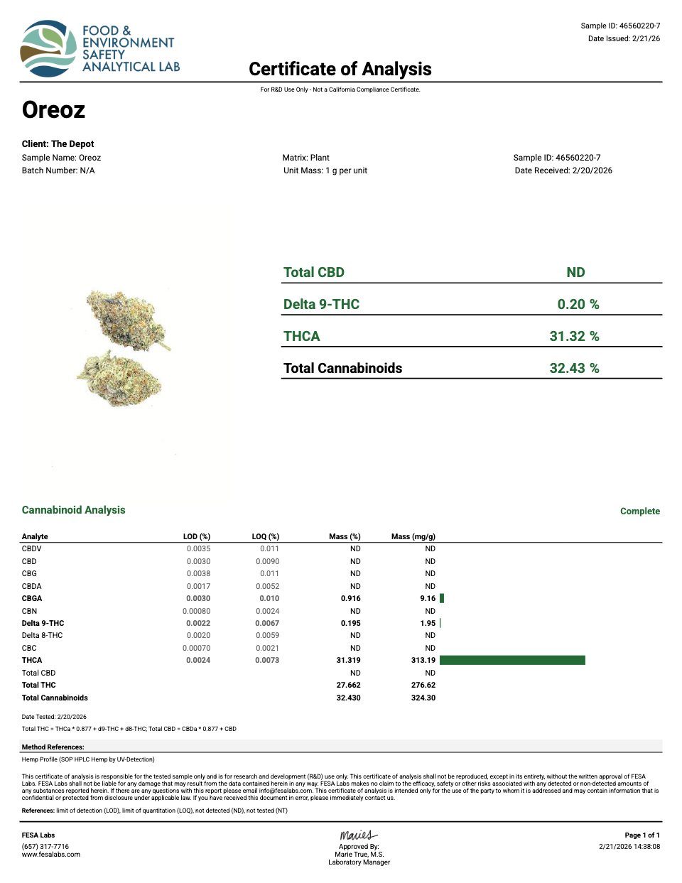 First page of the product lab report