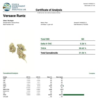 Lab report