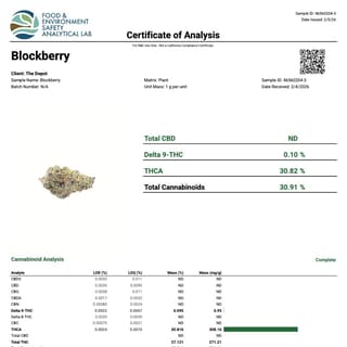 Lab report