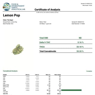Lab report