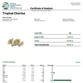 Lab report
