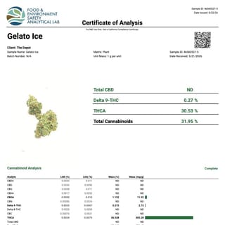 Lab report