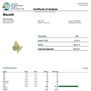 Lab report