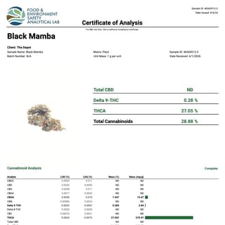 Lab report