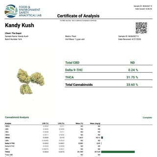 Lab report