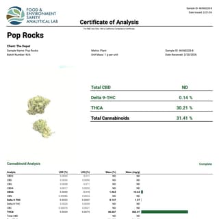 Lab report
