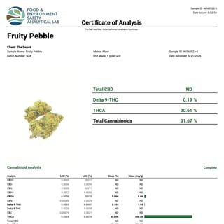 Lab report