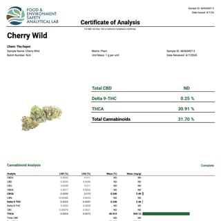 Lab report