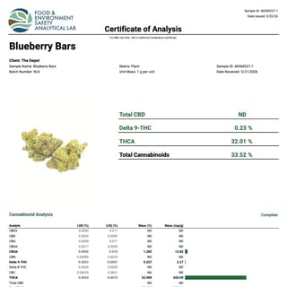 Lab report