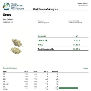 Lab report
