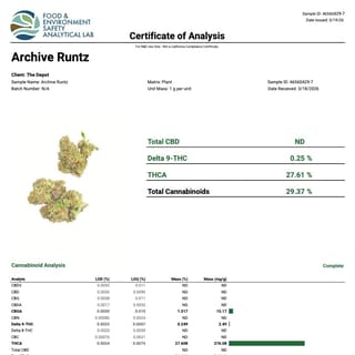 Lab report