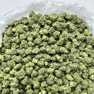 Product photo 2